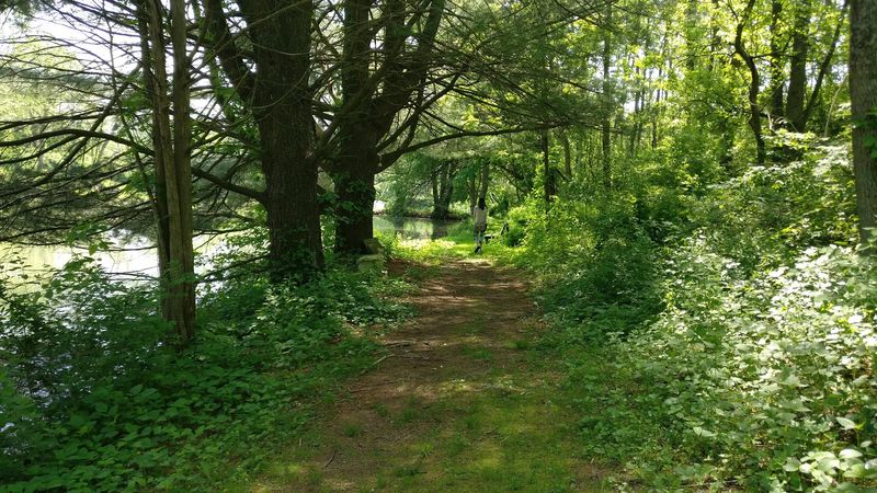 Free Visits Open To The Public