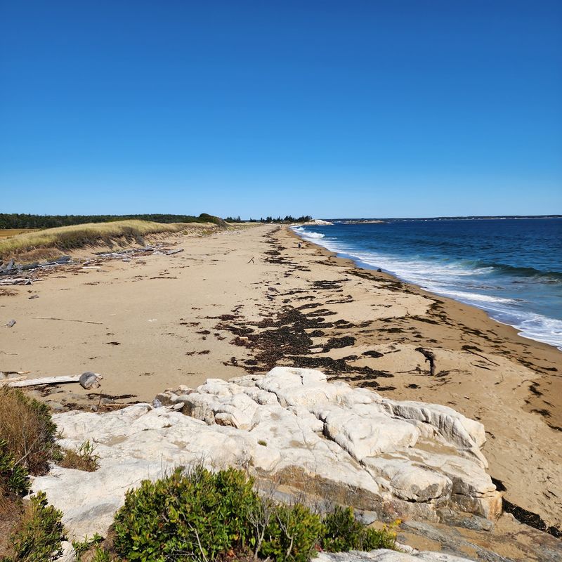 Reid State Park, Georgetown