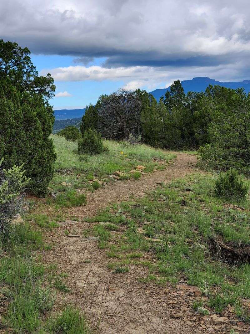 Reilly Canyon Trail, Trinidad Lake State Park, Trinidad