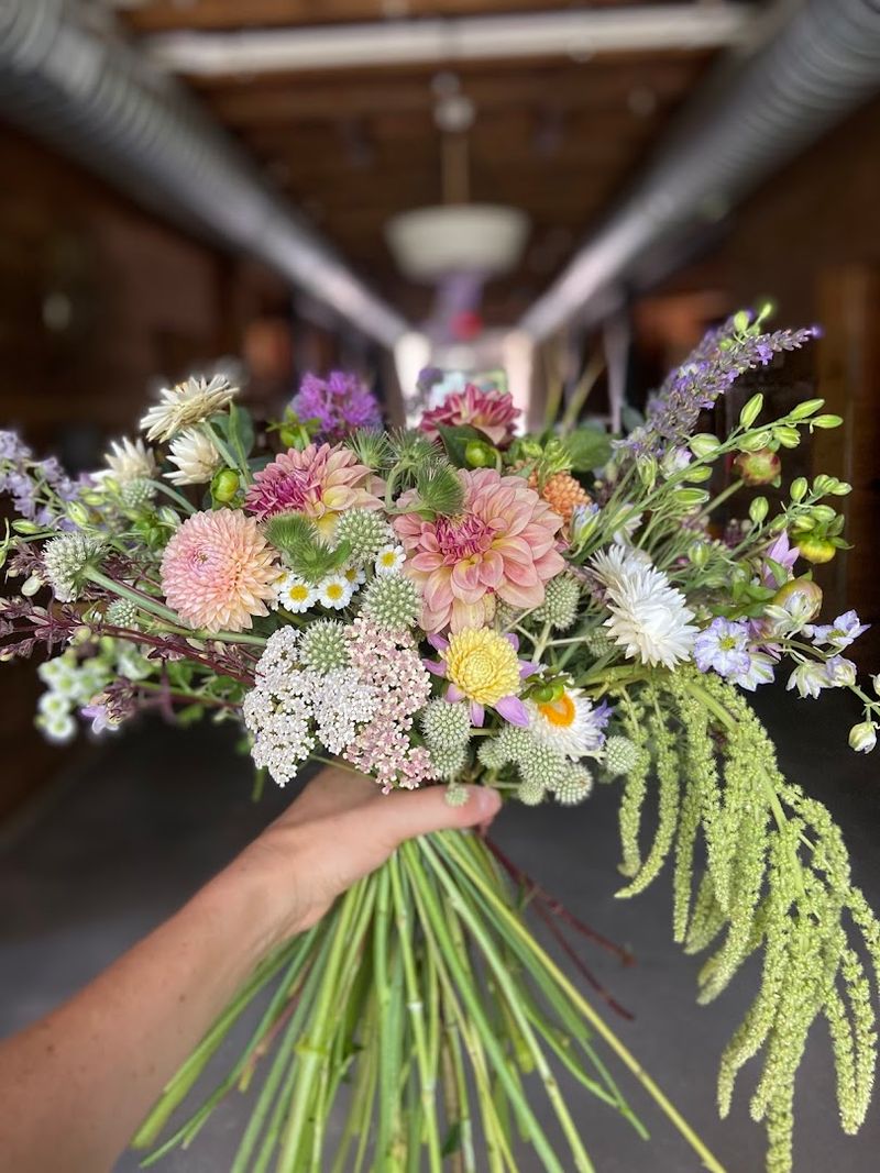 Wild Flower Farm, Holland