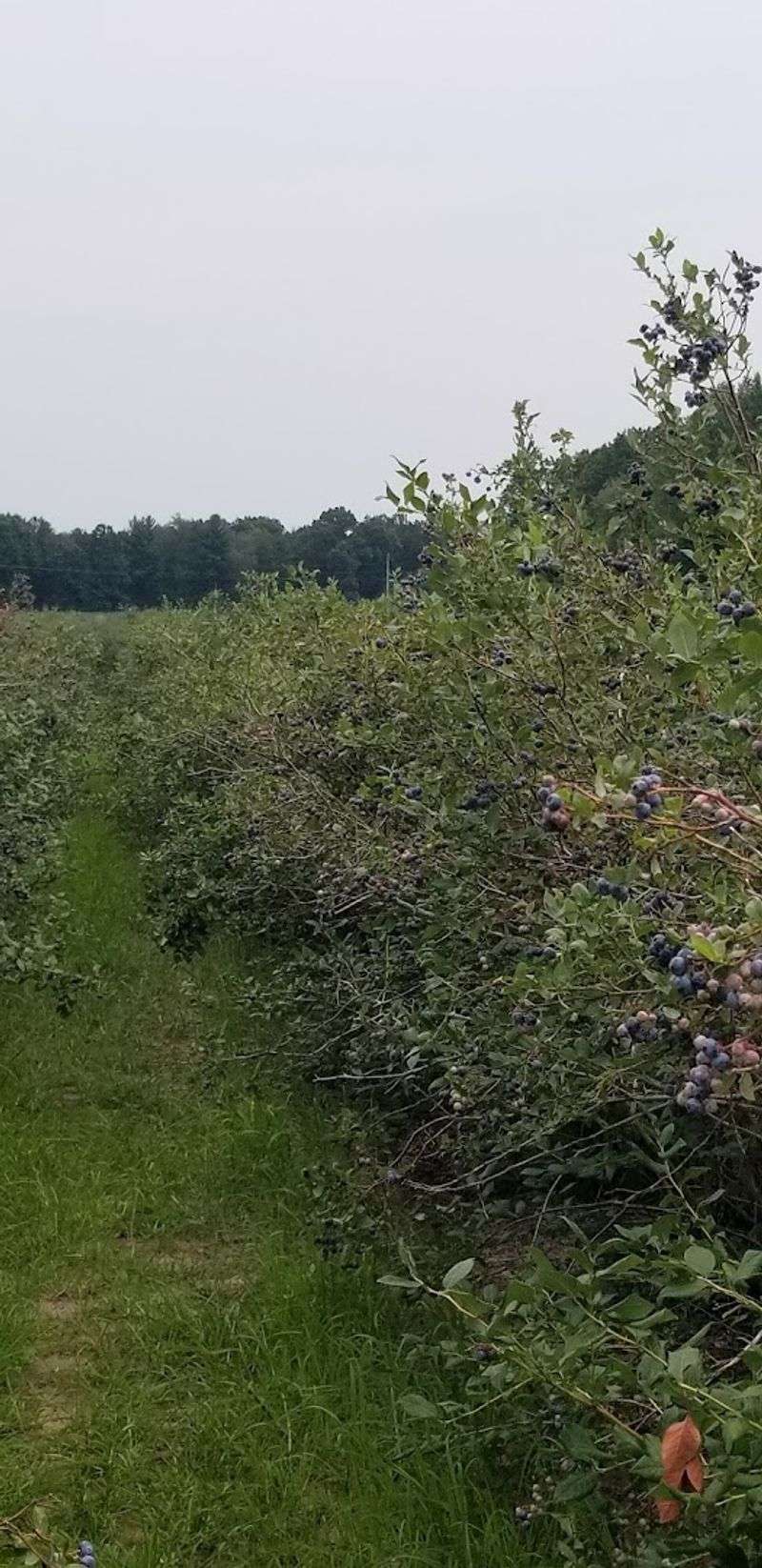 Remember The Farm's Four-Generation History