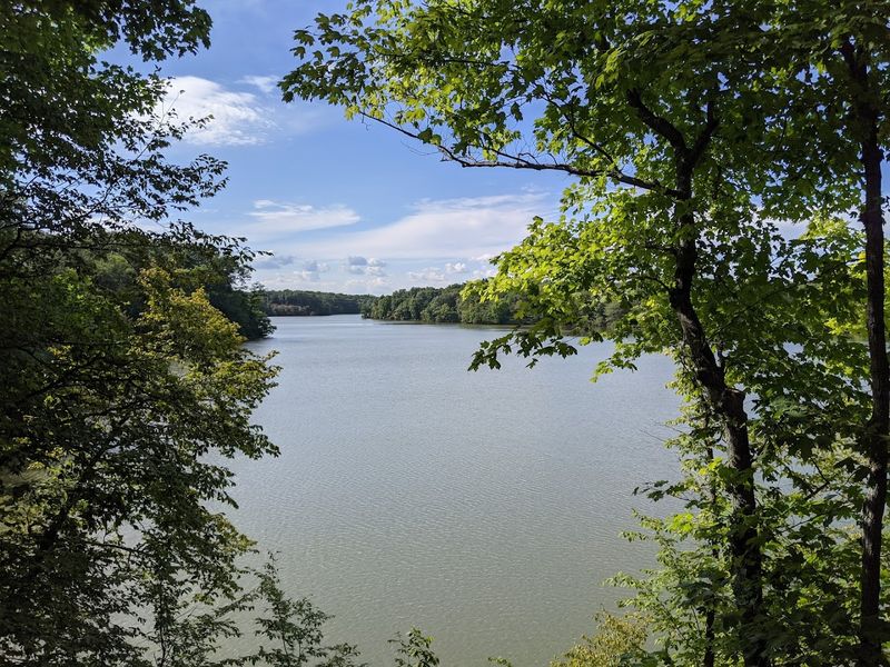 Newton Lake State Fish and Wildlife Area, Newton