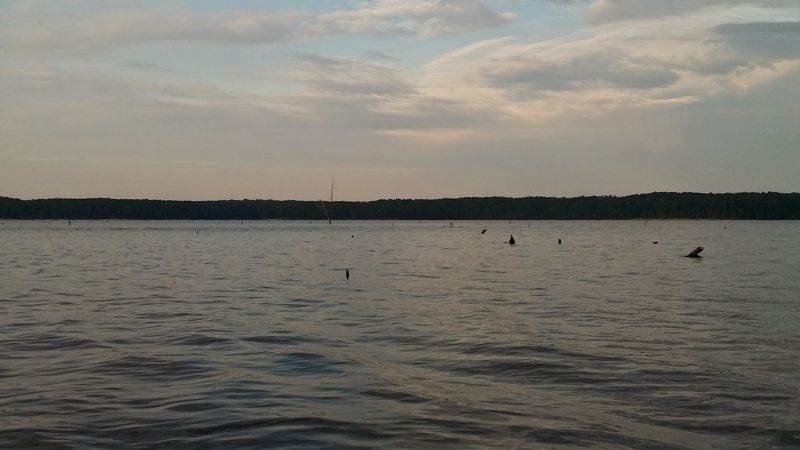 Jordan Lake Educational State Forest - 2832 Big Woods Rd, Chapel Hill (Bonus Loop Idea)