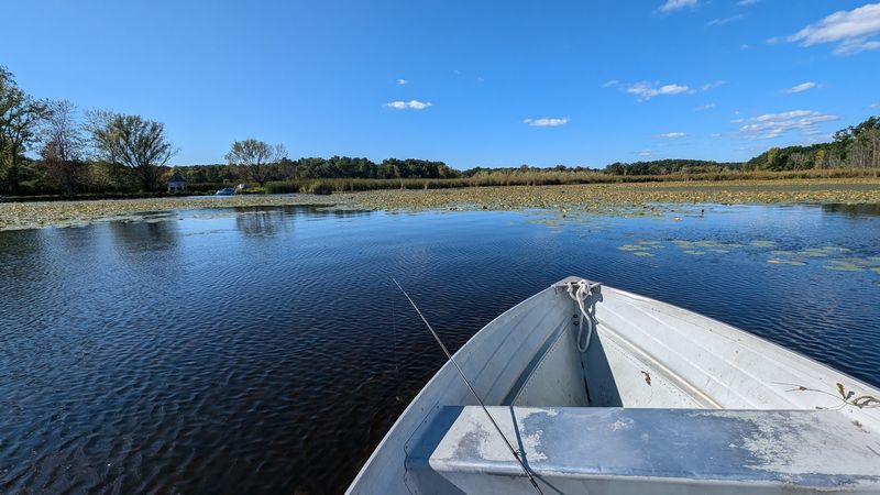 Rent A Boat Instead Of Only Looking At The Lake