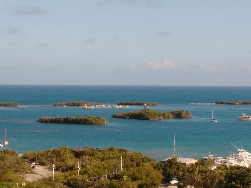 Replaced Florida Keys Colony