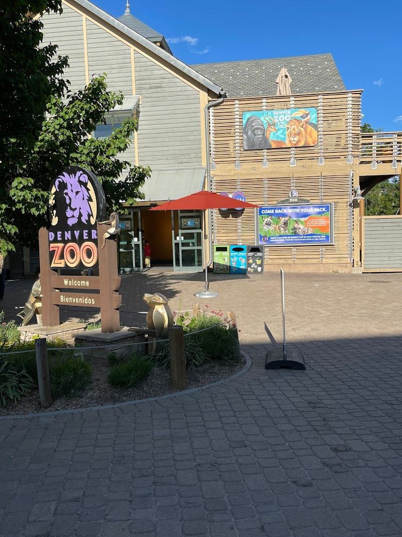 Final Verdict: Why Denver Zoo Belongs on Your Colorado Itinerary