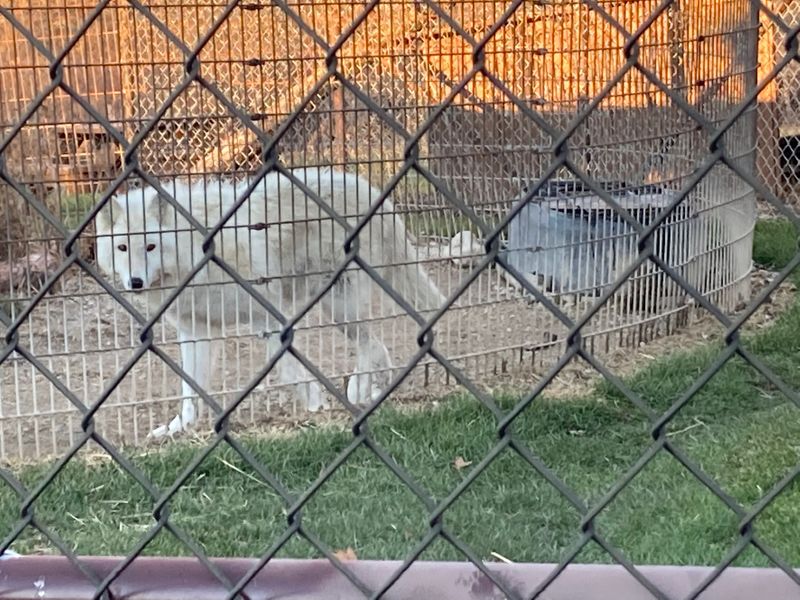 Practical Visiting Tips You Will Actually Use