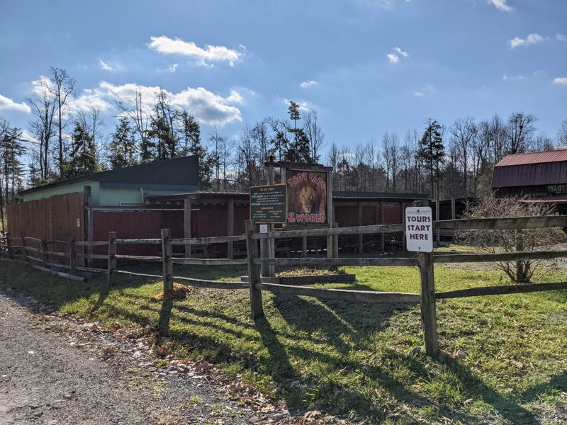 Volunteer Programs Make a Difference