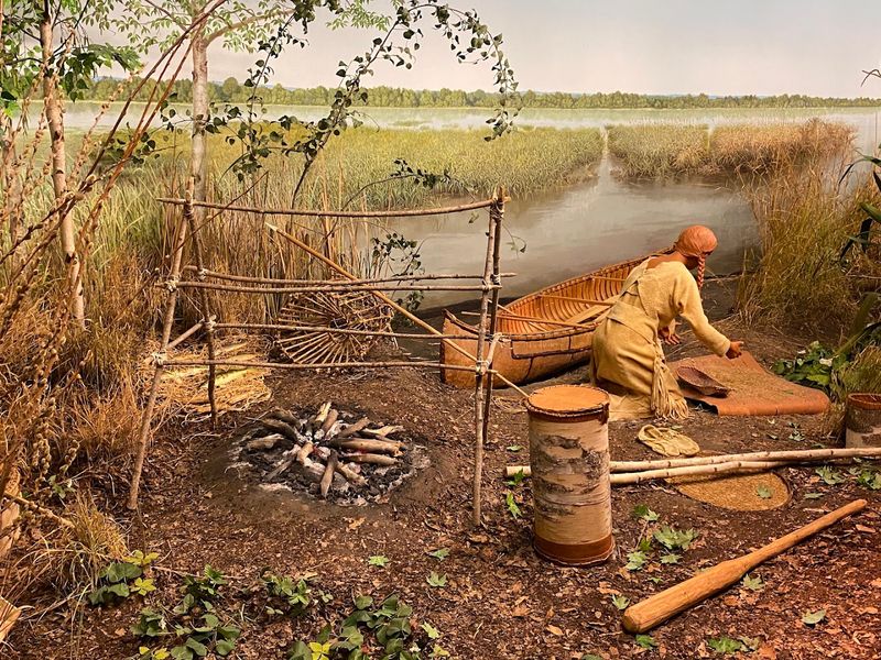 Rotating Exhibits That Reframe