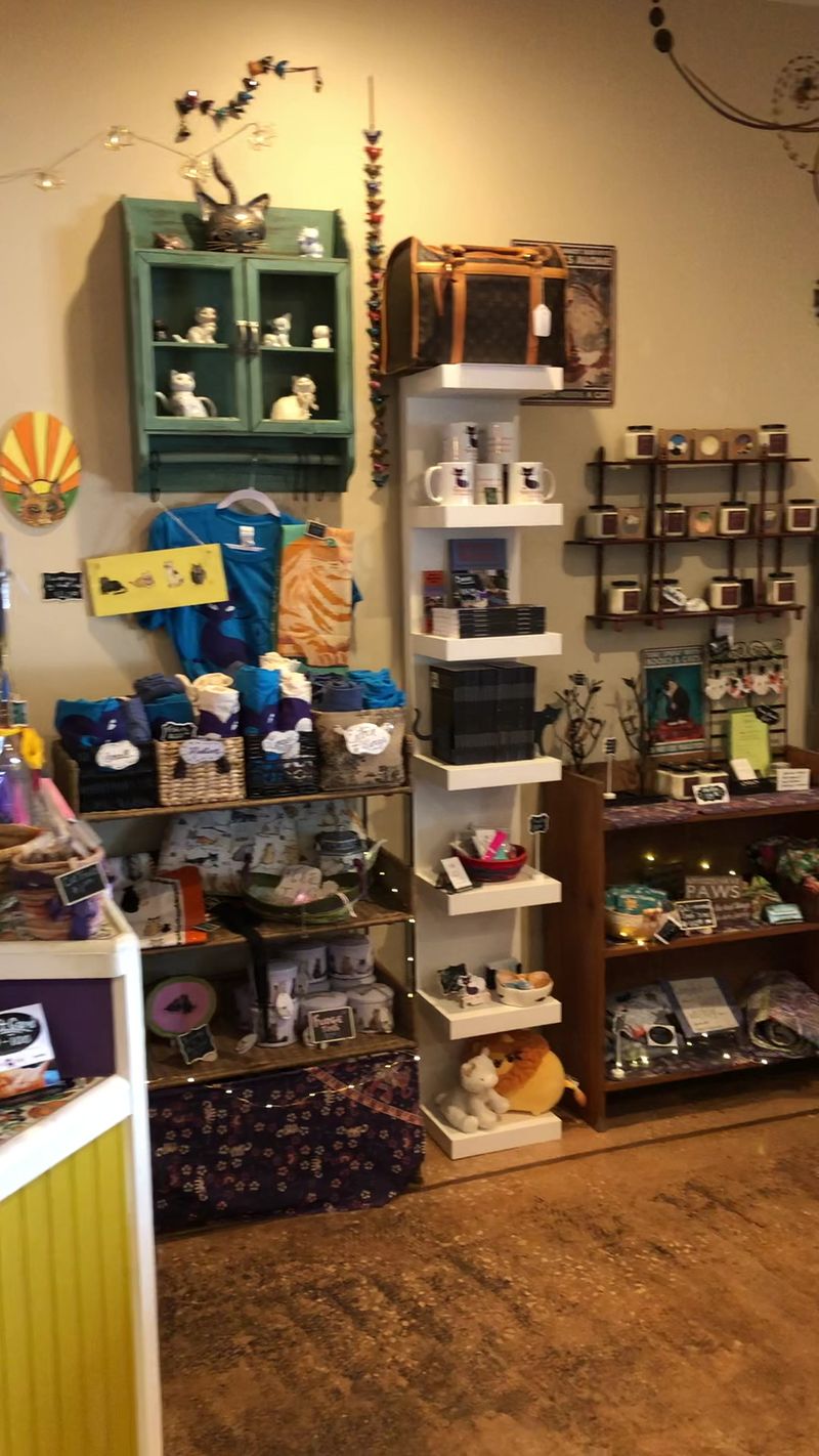 Educational Opportunities About Cat Care