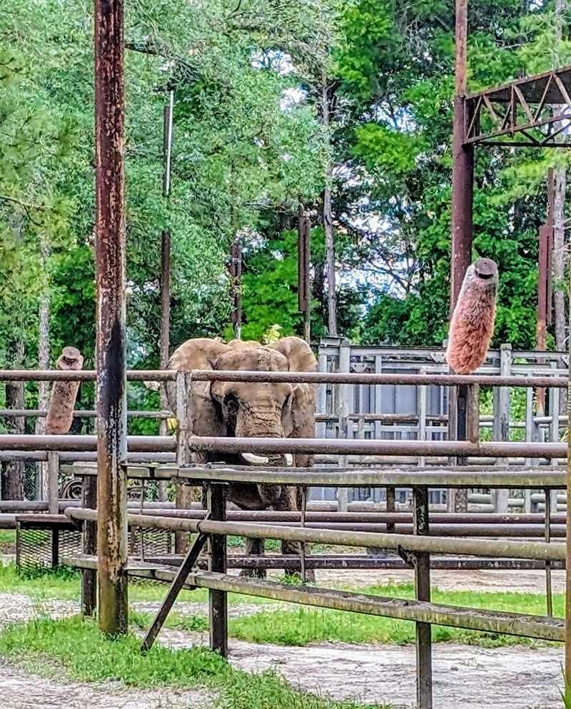 Family-Friendly Adventure With Some Considerations