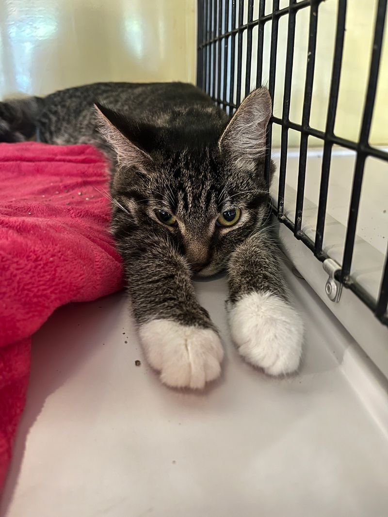 Ask About Personalities Before You Sit