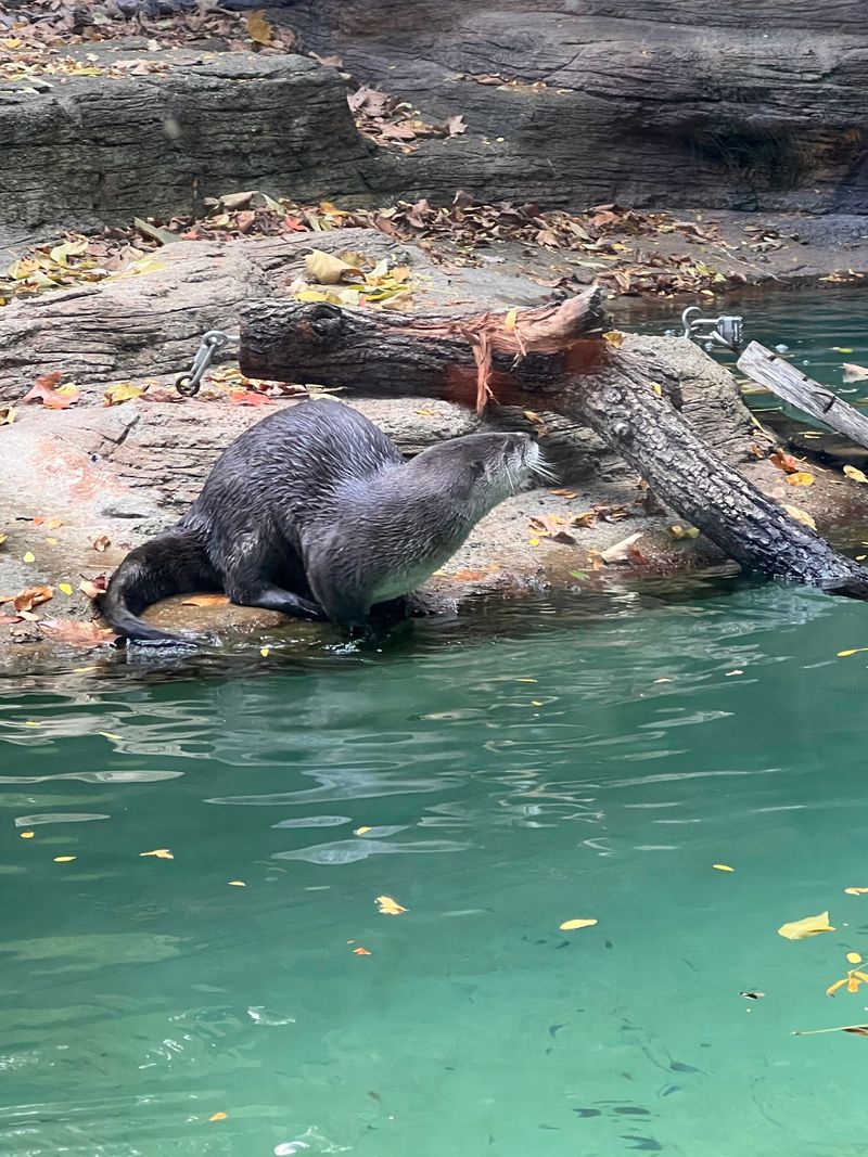 End With A Second Walk-Through