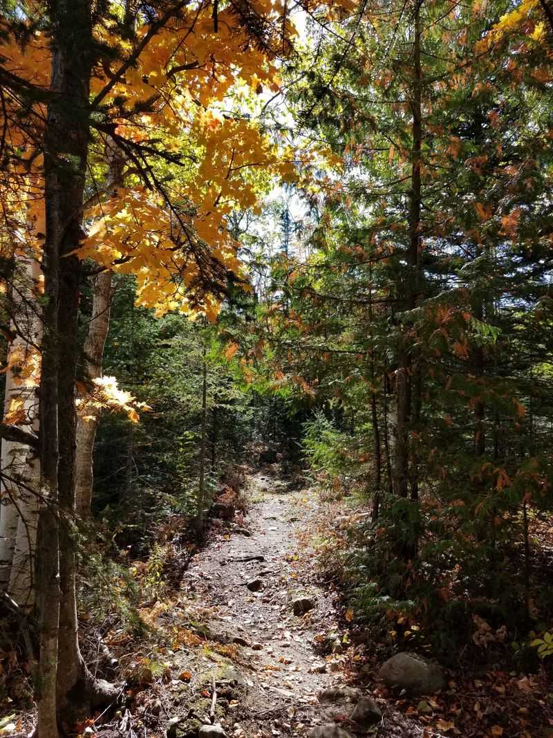 Mind Winter Logistics