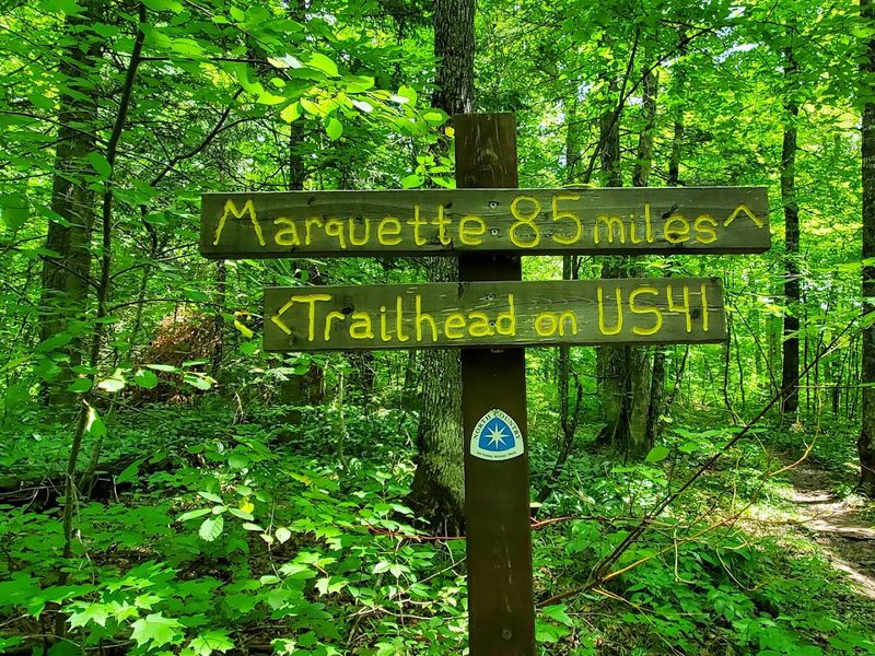 Use The Practical Comforts Before The Woods Take Over