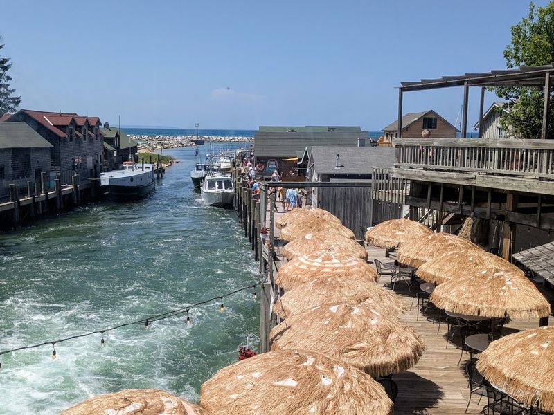 Savor The House Tortillas