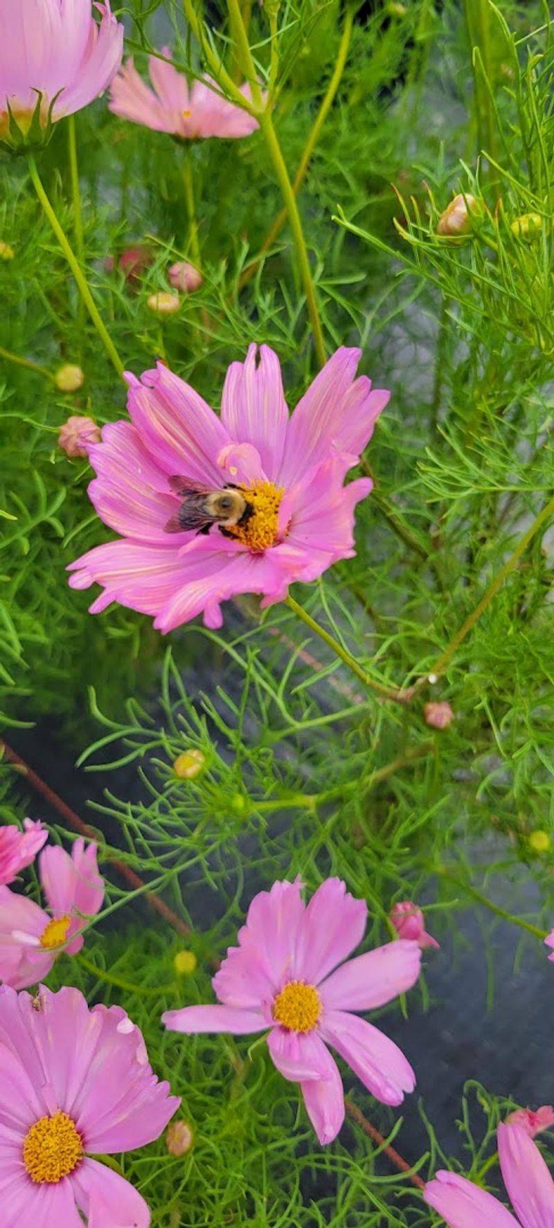 Bring A Camera With Manual Settings If Possible