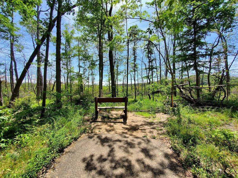 Respect The Rustic Limits Of The Park