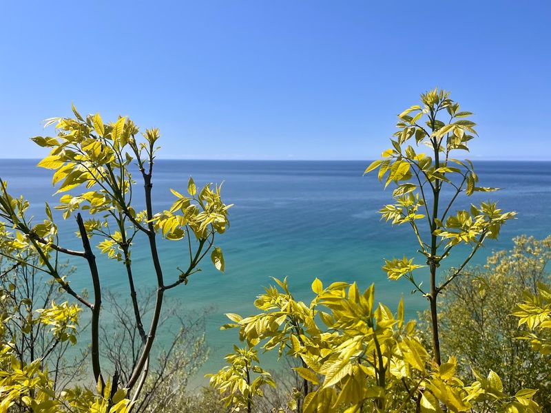 Notice The Conservation Story Beneath The View