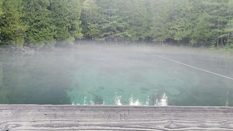 What The Water Feels Like To Hear