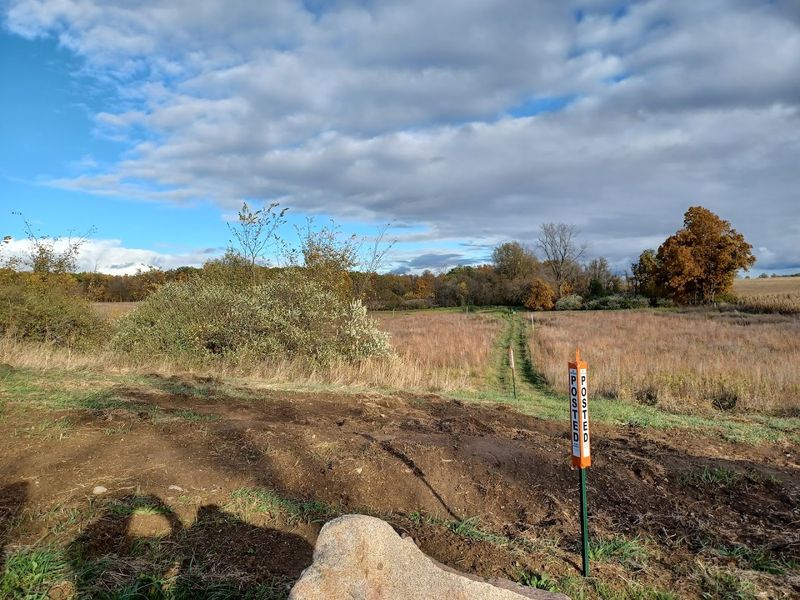 Seasonal Quirks To Know