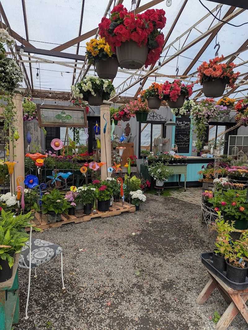 Restored Glass Greenhouses