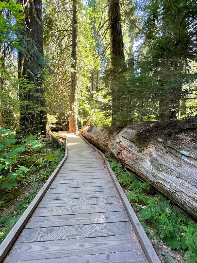 Restrooms, Picnic Tables And Trailhead Comforts