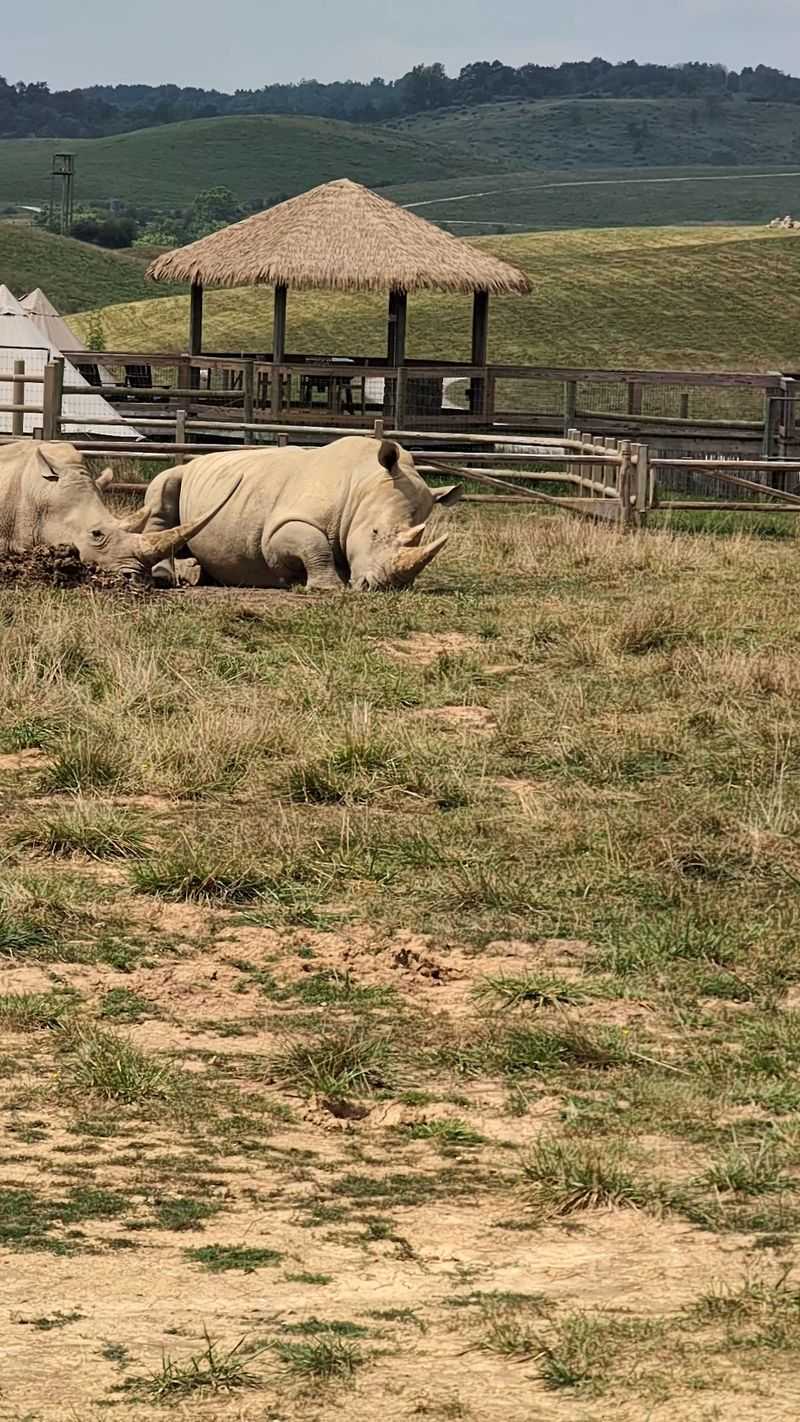 Overnight Stays in Yurts That Blend Comfort With Wilderness