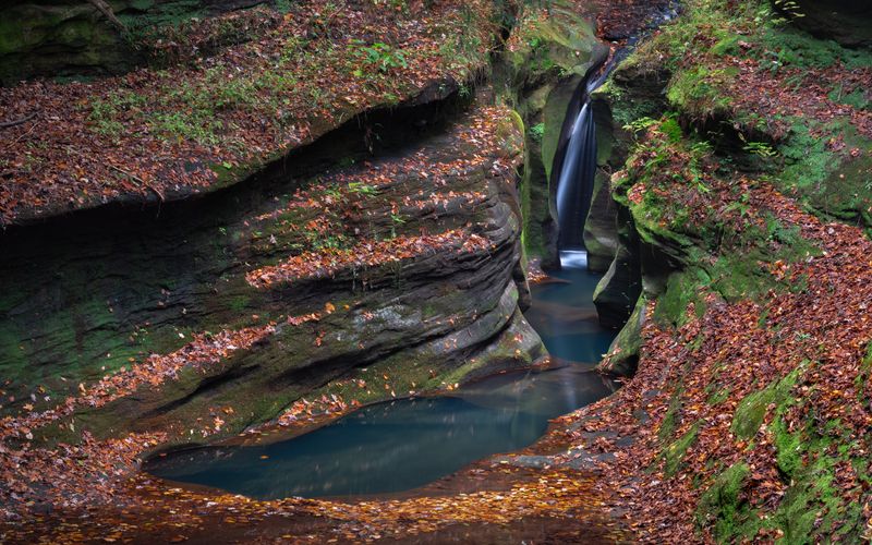 Buckeye & Ridge Trails – Boch Hollow State Nature Preserve, Near Logan