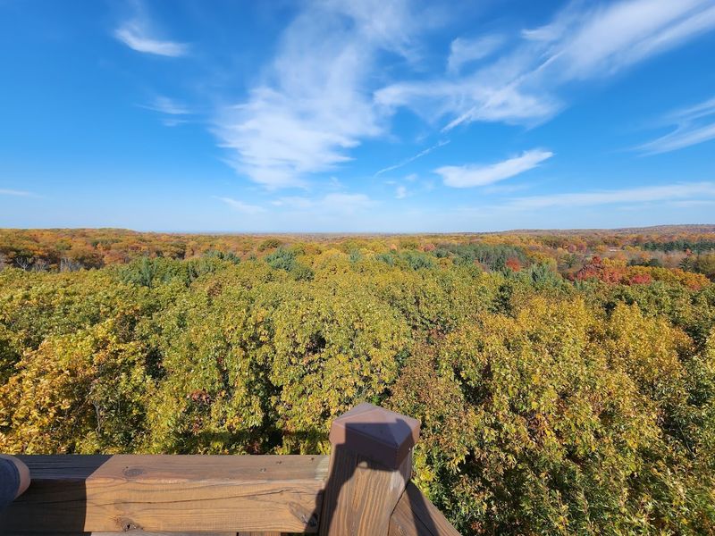 The Emergent Tower View You Will Not Forget