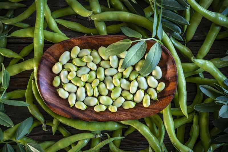 Lima Beans: Cyanide-Carrying Legumes