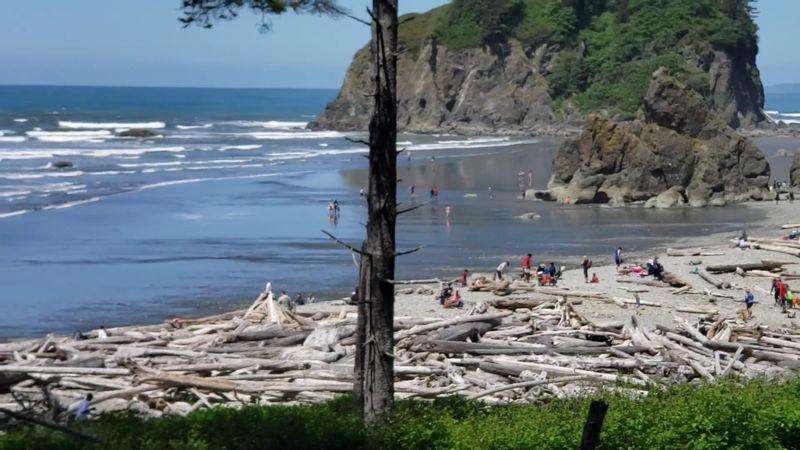 Rialto Beach And Ruby Beach: Coastlines That Steal The Show Rialto Beach And Ruby Beach: Coastlines That Steal The Show