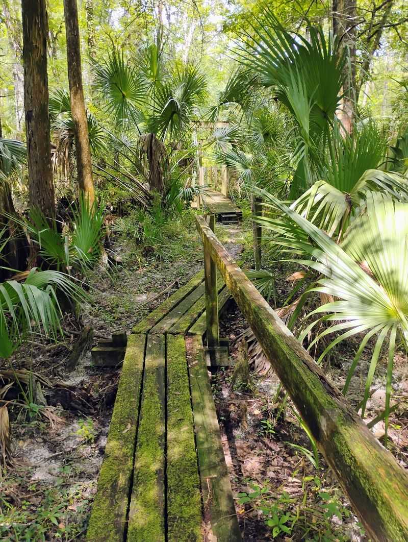 Rice Creek Conservation Area Trail — Palatka