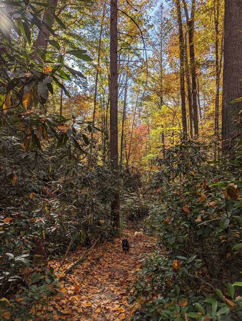 Rich Cherokee History And Heritage