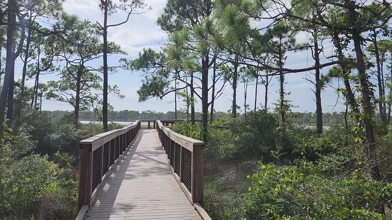 Peaceful Atmosphere Perfect For Disconnecting