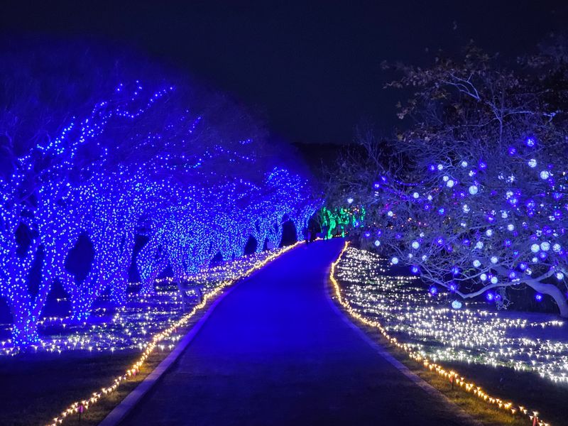 Norfolk — Dominion Energy Garden of Lights