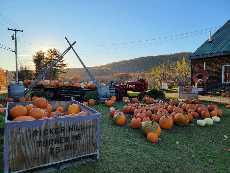 Ricker Hill Orchards, Turner