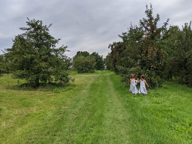 Ricker Hill Orchards, Turner