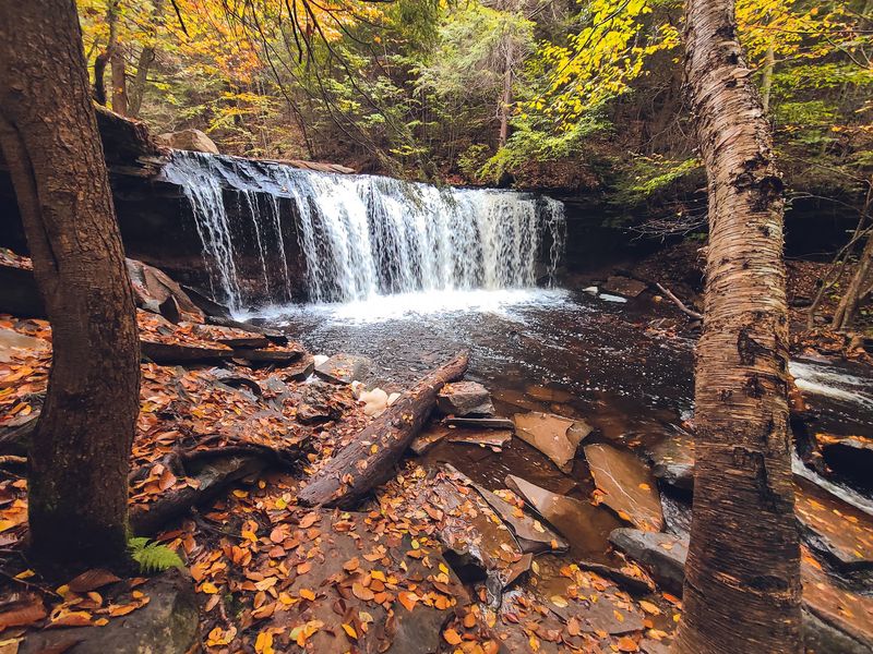 Ricketts Glen State Park