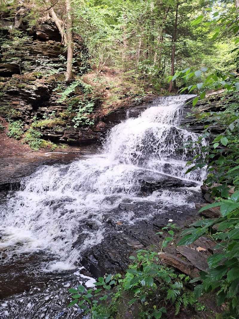Ricketts Glen State Park, Benton, Pennsylvania