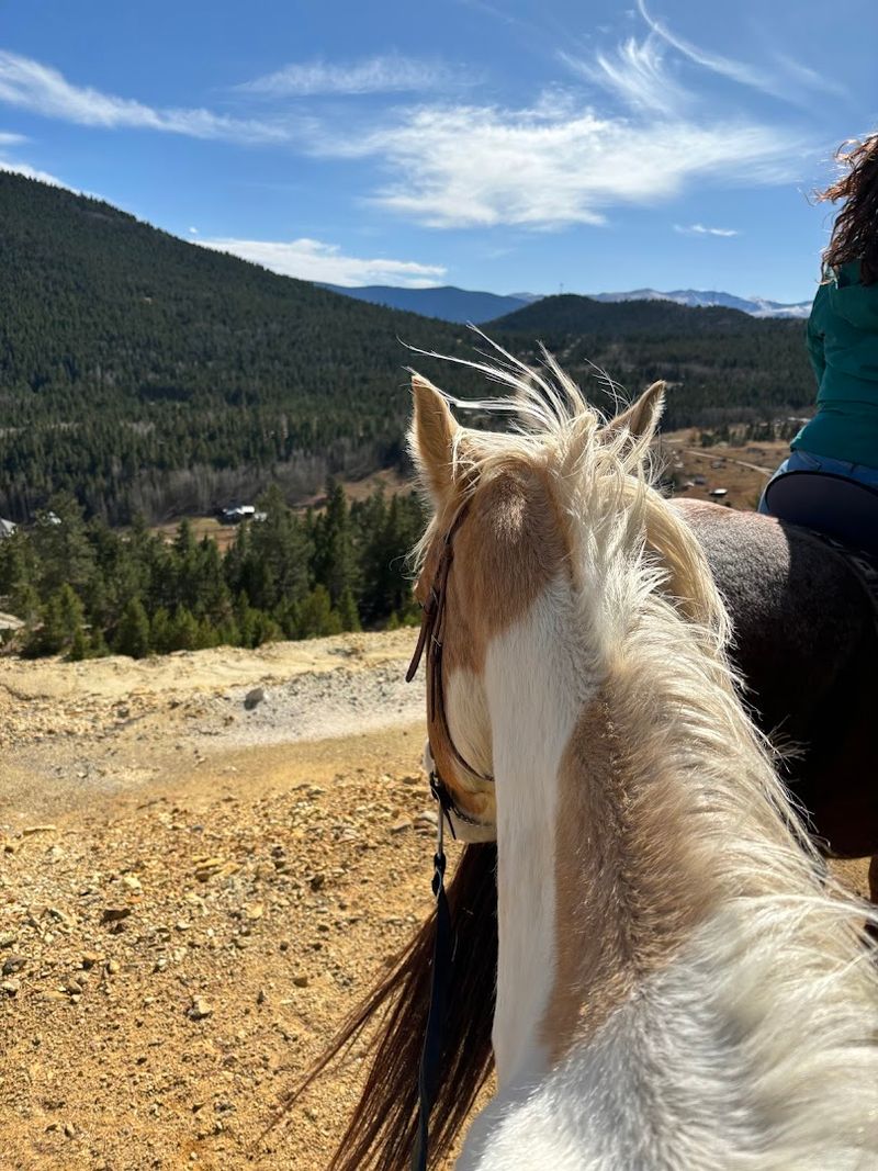 The Scenic Drive on Virginia Canyon Road Is Part of the Experience