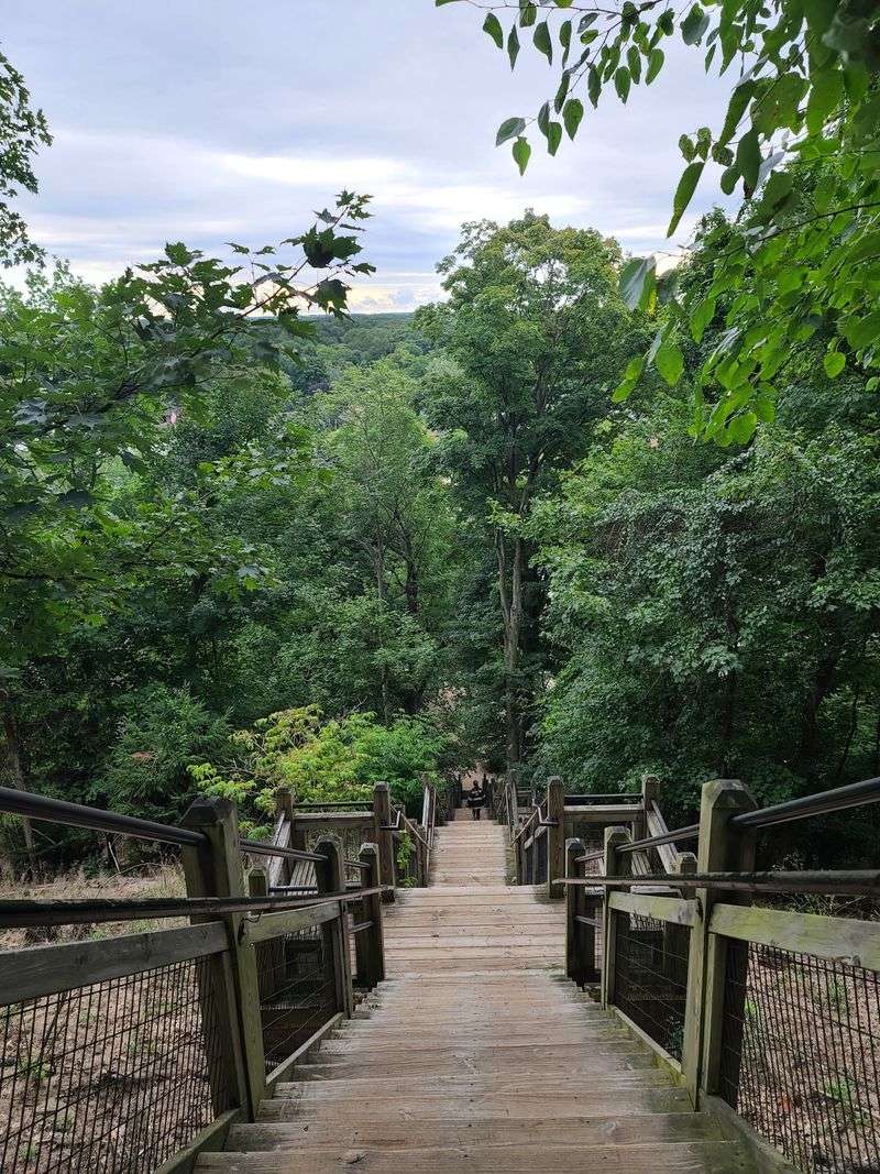 Climb Mount Baldhead Stairs
