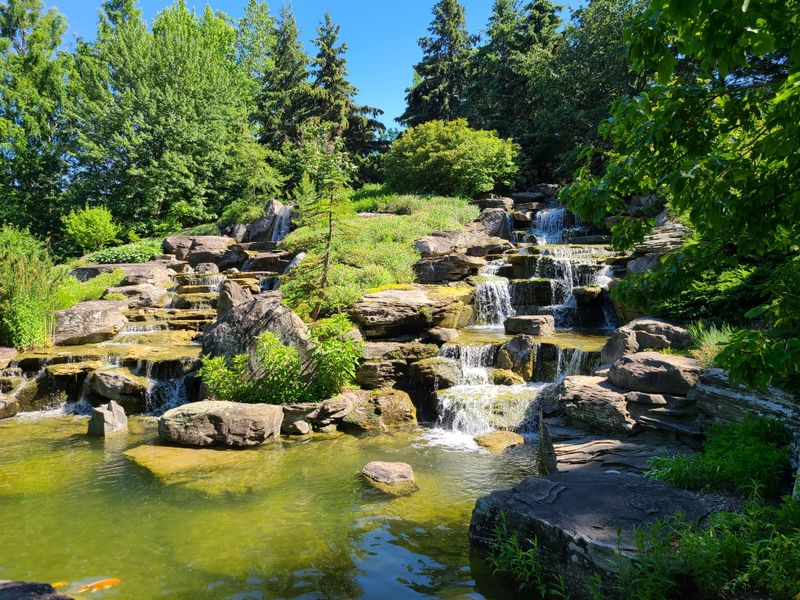 Time Your Visit For The Butterflies