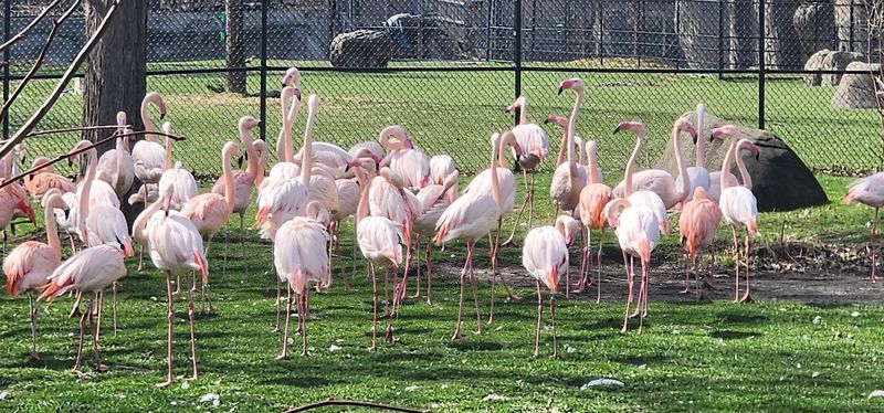 Dress For Michigan Weather And Walk