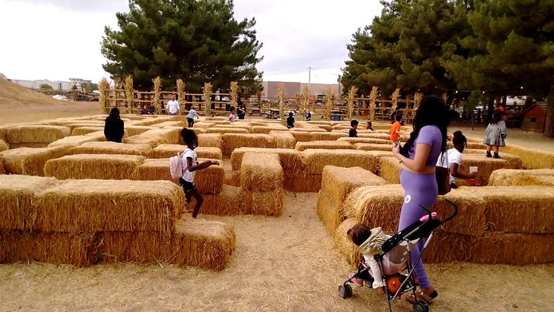 Ride The Tractor-Pulled Hayride