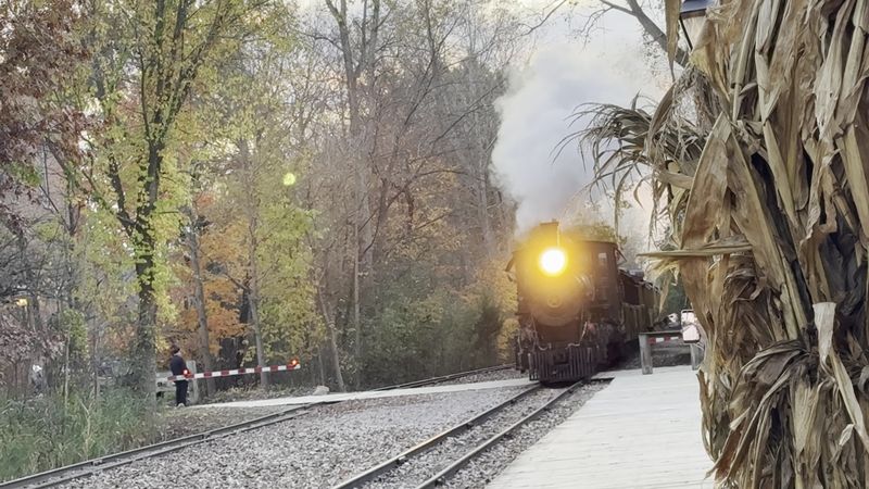 Ride The Train For Scenery As Much As History