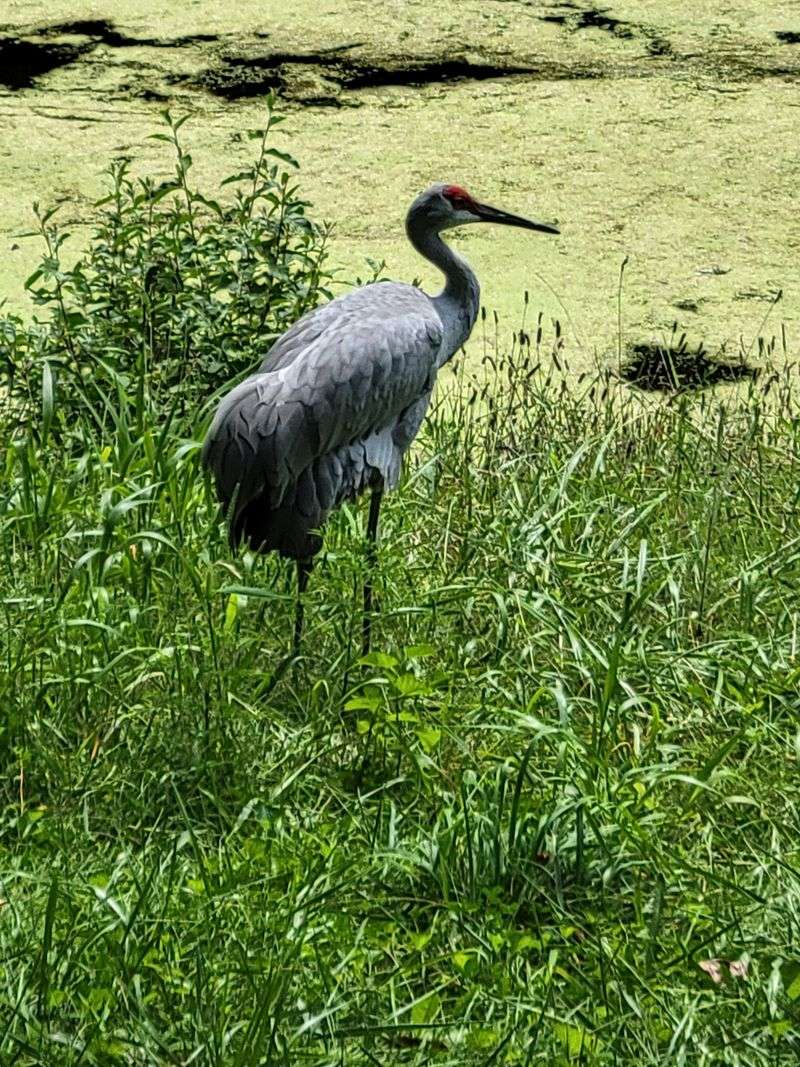 Trails, Lakes, And Quiet Corners For Breathing