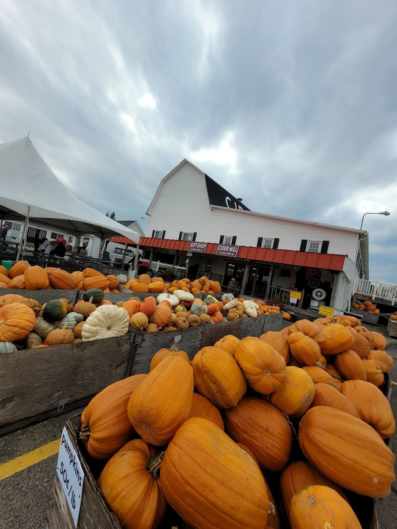 Plan For Festivals And Crowds