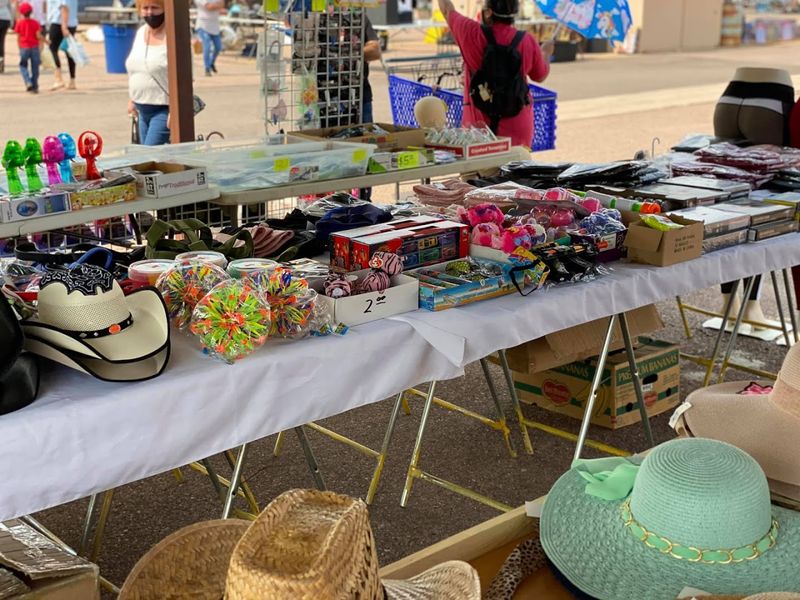 Seasonal Timing and What to Realistically Expect