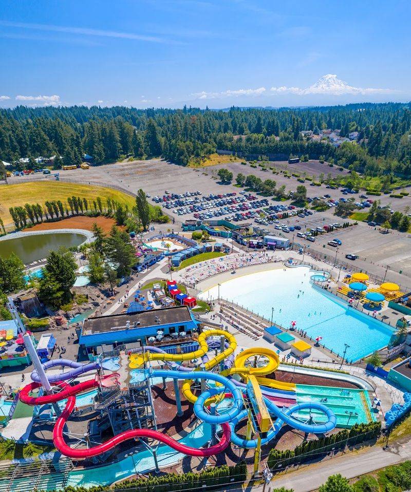 Rides, Attractions, And What To Expect Rides, Attractions, And What To Expect